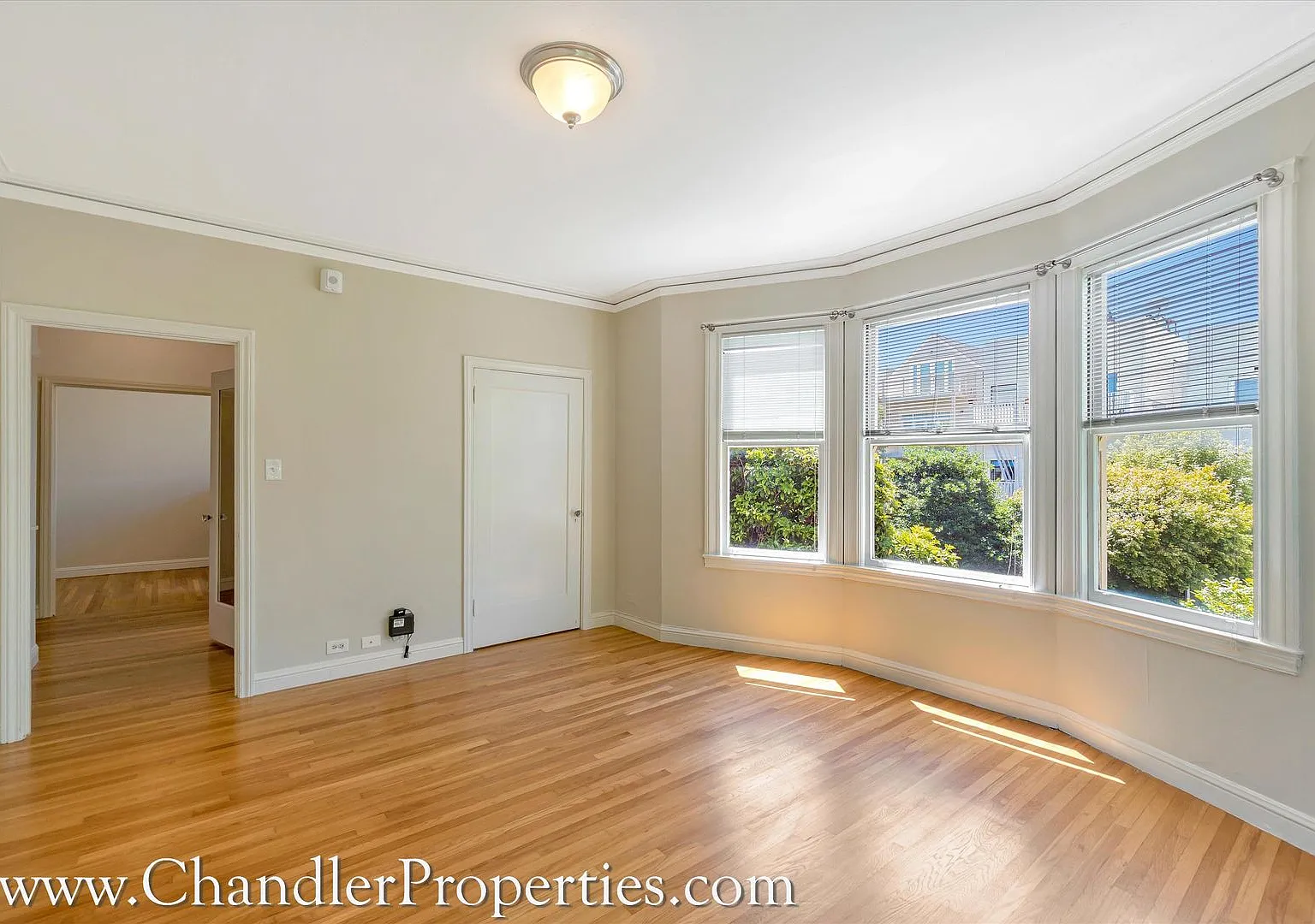 1535 Green Street Apartments* — Photo 2