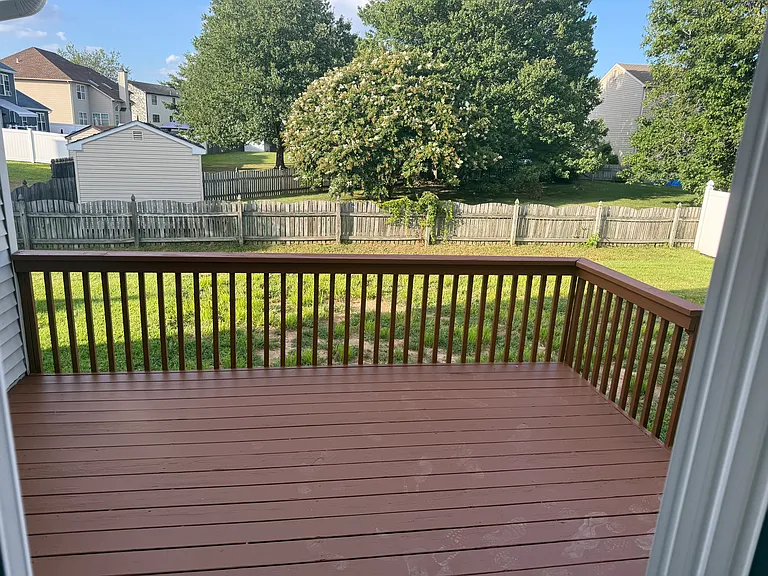 Deck & backyard