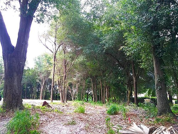 3rd image of 1113 Palm Cove Dr
