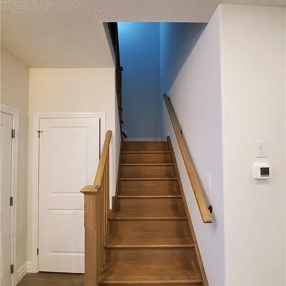 3010 Doyle Dr — Photo 10