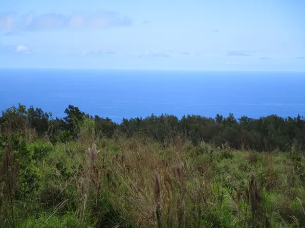36-660 Spencer Rd Lot 73, Laupahoehoe, HI 96764