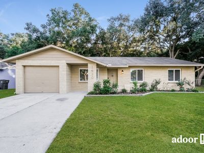 1420 Oak Valley Dr, Seffner, FL, 33584