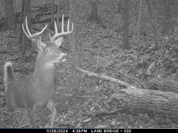 5th image of 4345 Mount Unger Rd