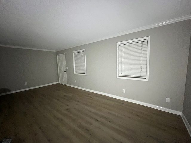 Living room 20 x 14