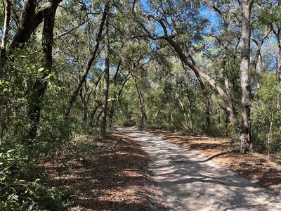 104 Sunset Ln, Interlachen, FL, 32148