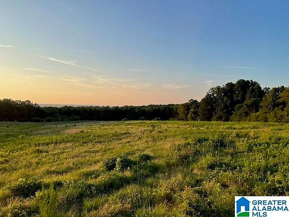 2nd image of 0 Jones Chapel Loop #1