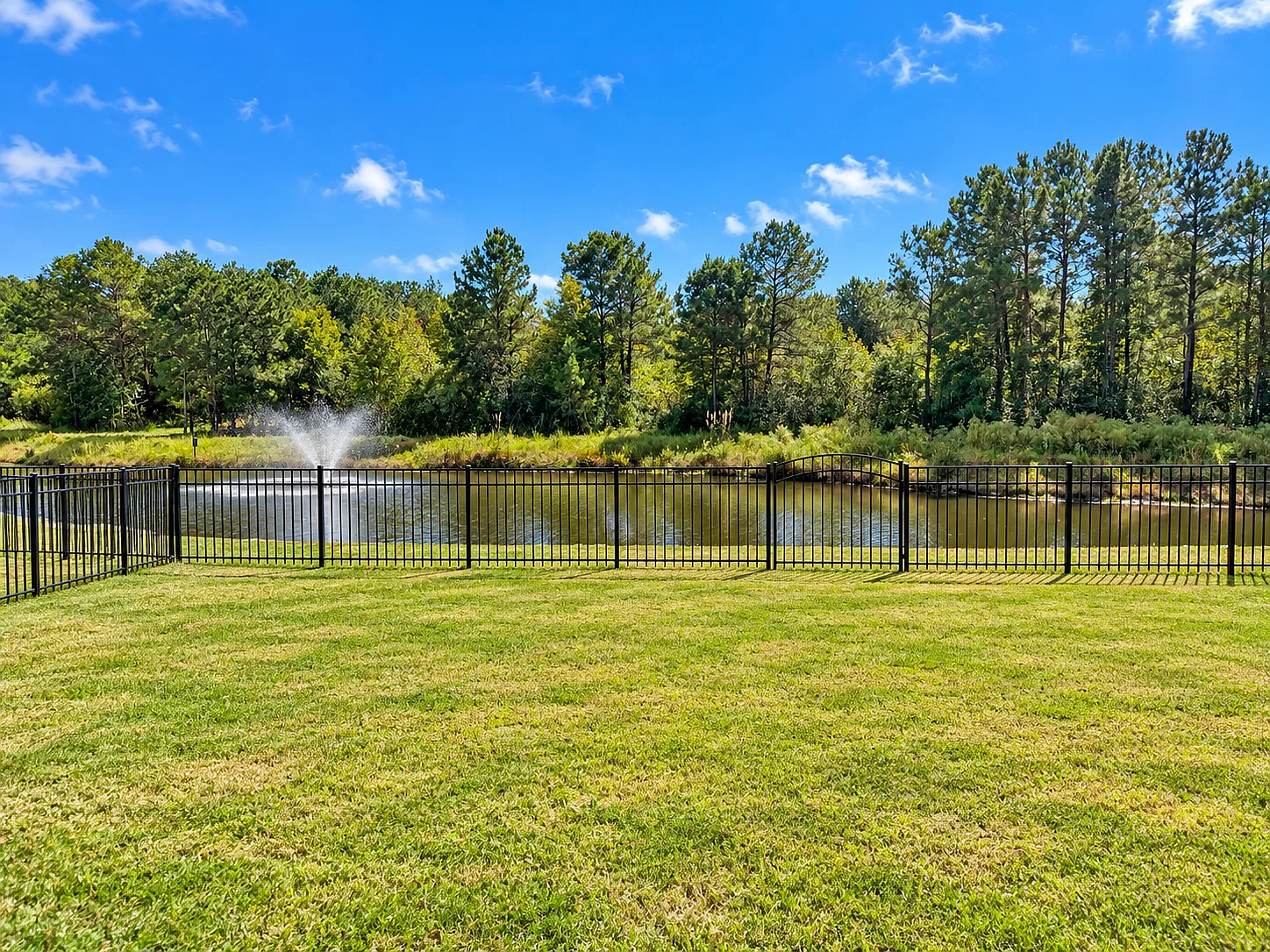 Calhoun Falls Dr, Myrtle Beach — Photo 3
