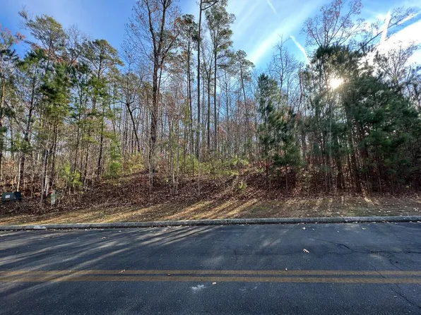 LOT Chinaberry Dr, Cohutta, GA 30710