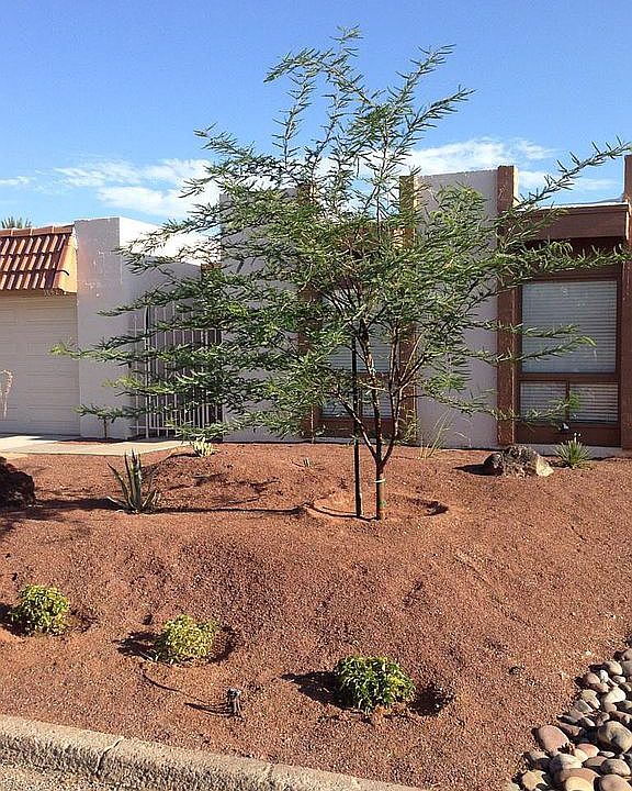 2nd image of 1840 Los Lagos Cir