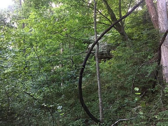 242 gannaway rd 038 (3)