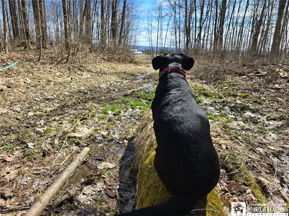 0 W Cobb Rd, Falconer, NY 14733