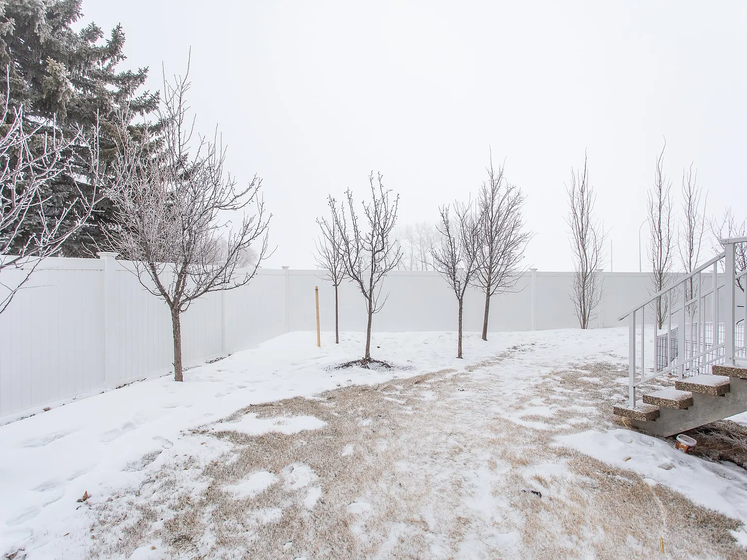 Prospect Townhomes — Photo 4