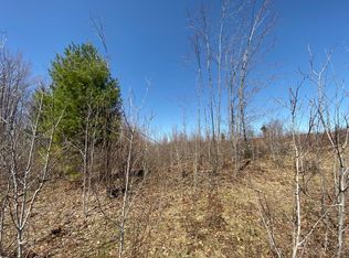 Old State Rd, Gaylord, MI 49735