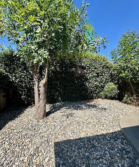 5321 Park Highlands Blvd #A — Photo 20