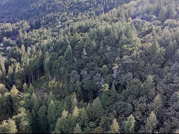 3rd image of 41768 Bowman Rd