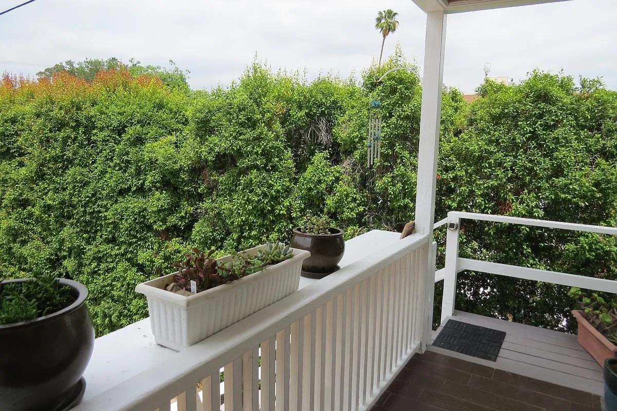 442 Vine St — Photo 2