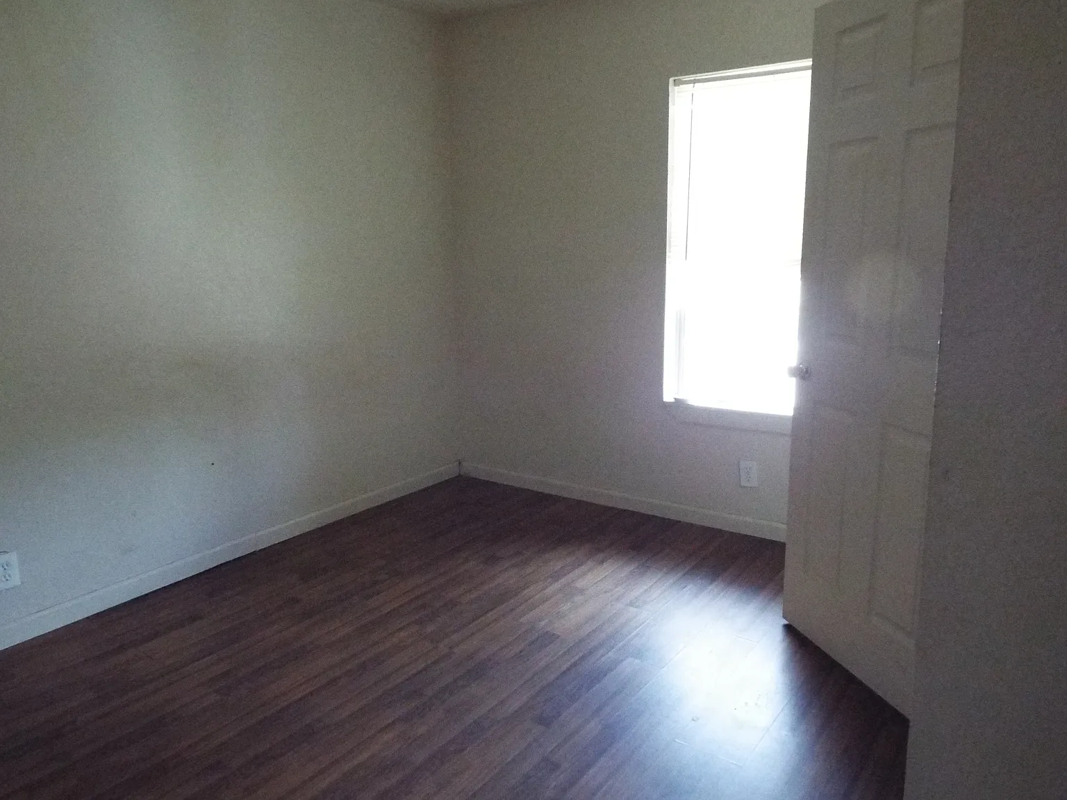 146 Stella — Photo 3