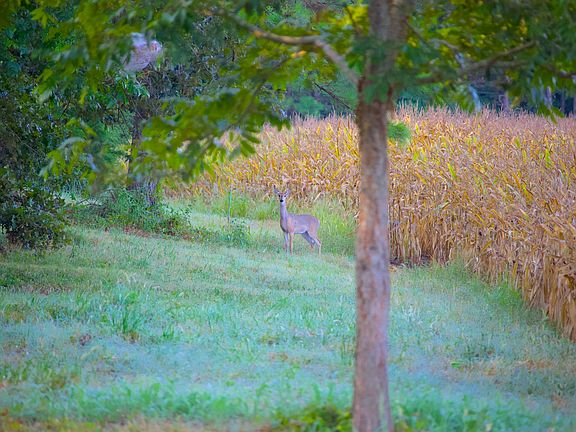 5th image of 4510 Fayette Corners Rd