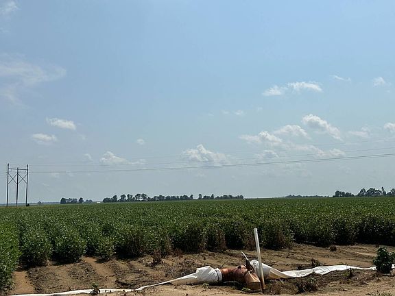 5th image of 540 Clay County Rd