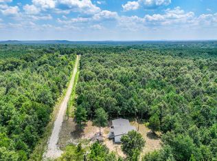 175 Private Road 3900 Rd, Gilmer, TX 75644