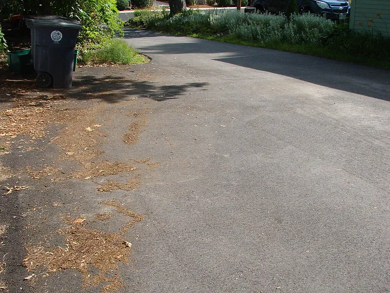 33 Norton St #1 — Photo 29