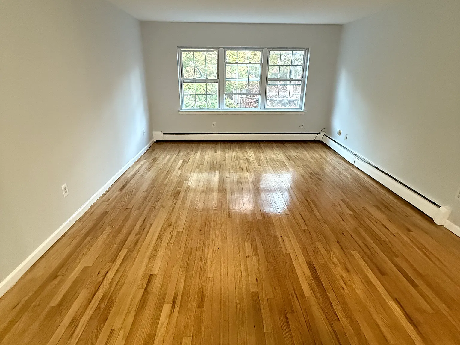 1 bed, 800 sqft, $1,550 — Photo 2
