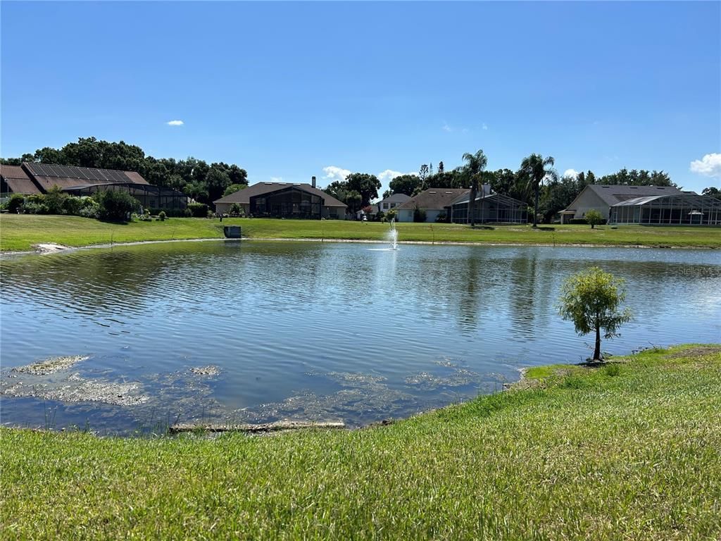 700 Adriane Park Cir, Kissimmee, FL - View 5