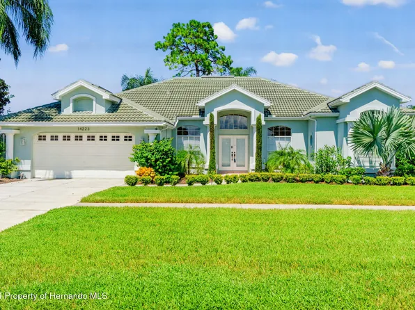 14223 Carlisle Dr, Spring Hill, FL 34609