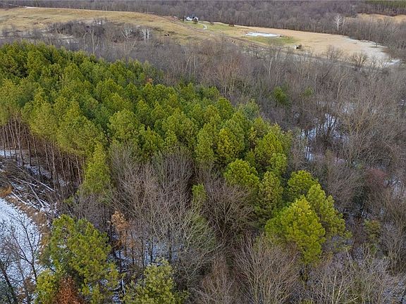 4th image of Perl Rd