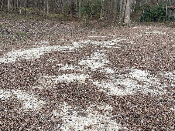 2nd image of 316 Bayview Road