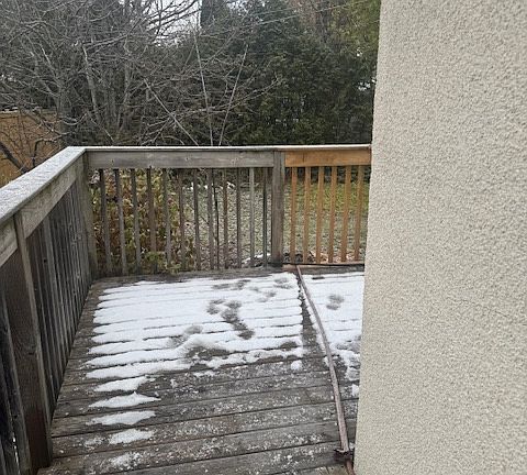 Back patio and back yard