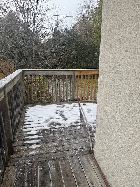 Back patio and back yard