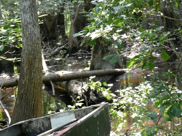 388 N Bass Dr, Wewahitchka, FL 32465