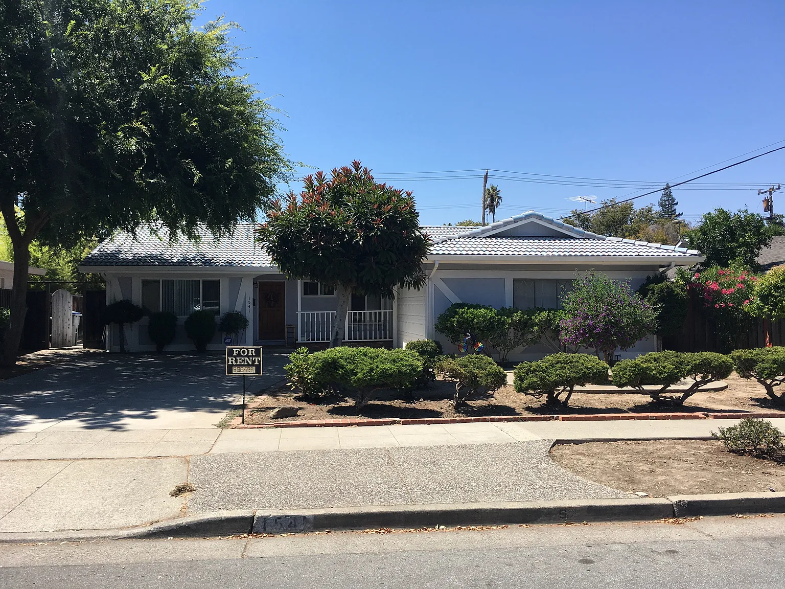 1541 Teresita Dr photo 1