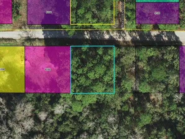 Pam Dr, Crawfordville, FL 32327