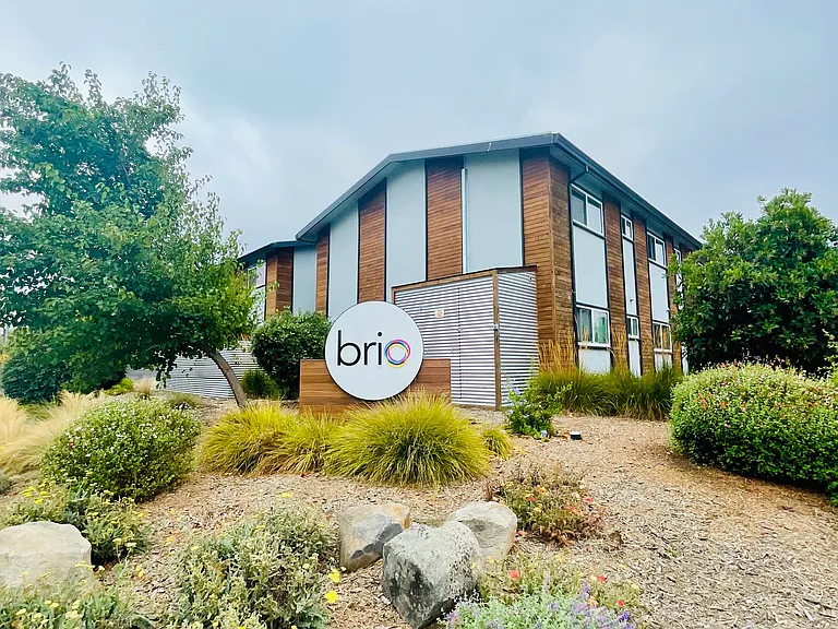 Brio — Photo 8