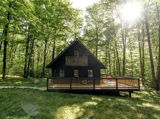 63 Hunter Ln, Parksville, NY 12768