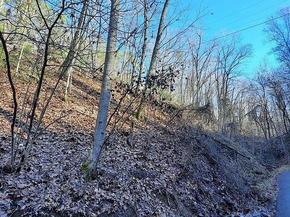 4th image of 0 Ridgeland Cir Lot 4