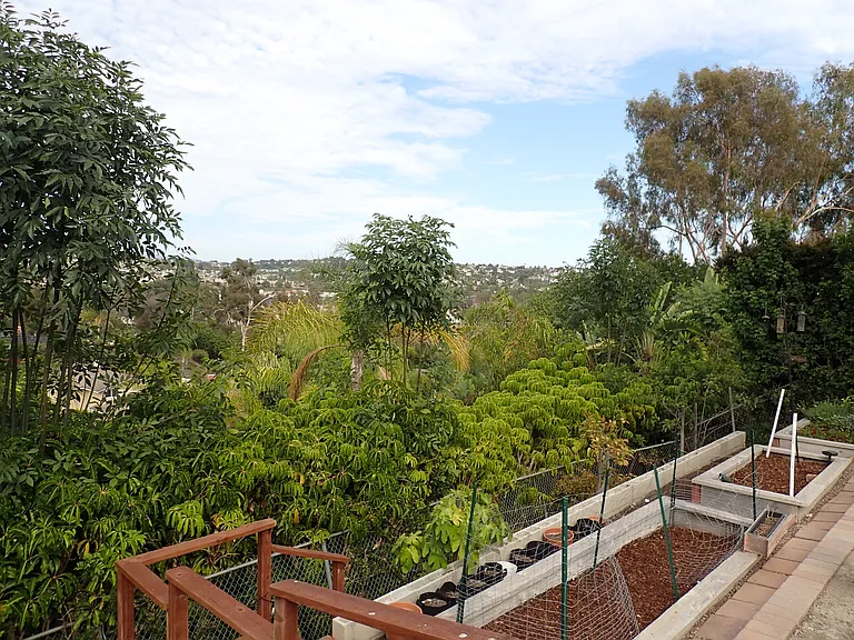 25962 Portafino Dr — Photo 49
