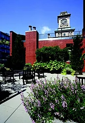 Rented by Manhattan Skyline