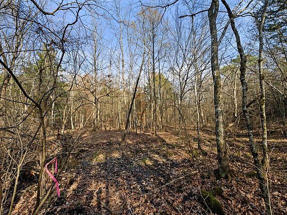 4th image of 316 Marked Pine Ln