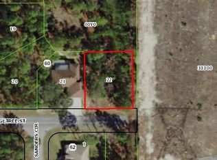 48 Fringetree St, Homosassa, FL 34446