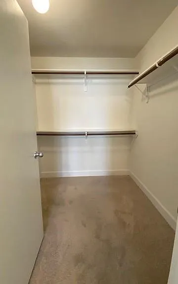 11604 Main Cypress Dr — Photo 25