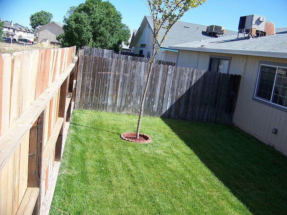 Back yard