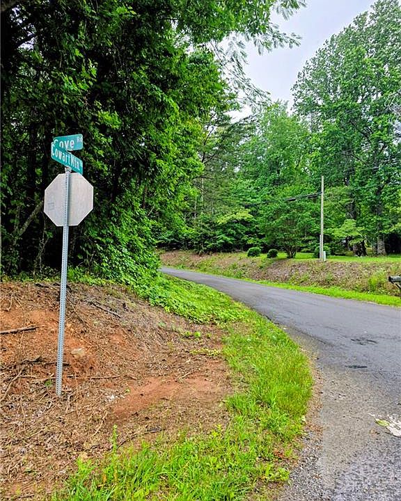 1st image of Cowart Mountain Tract Road 1