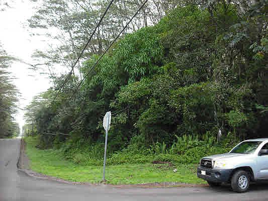 2nd image of Makuu Dr