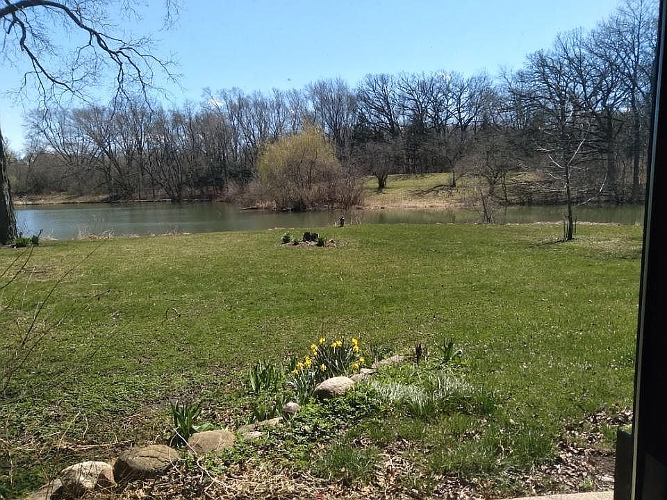 View from back porch