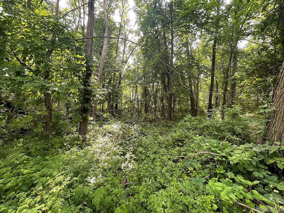 1st image of 9 N Tipsico Lake Rd