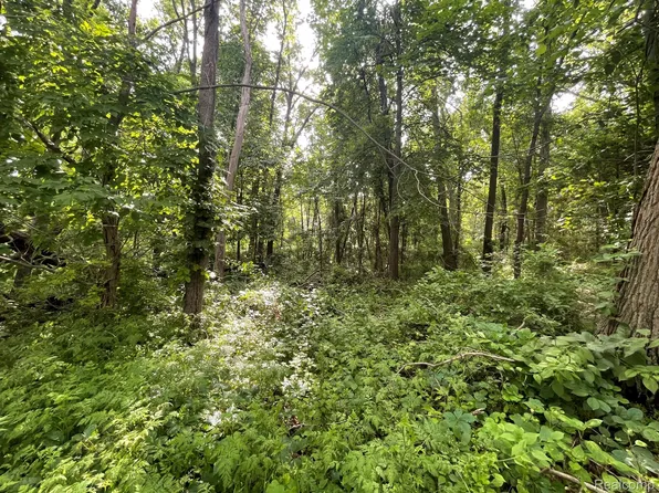 9 N Tipsico Lake Rd, Highland, MI 48357