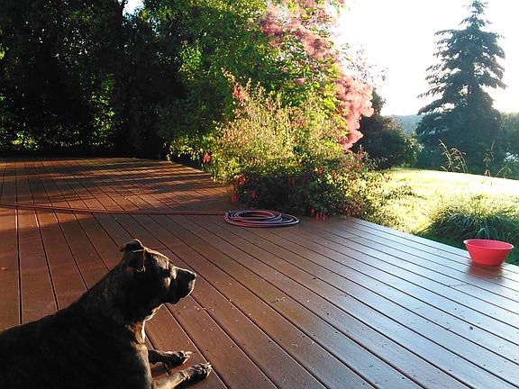 Back deck, cooking out, etc.